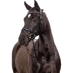 Horse Guard Avan Bridle